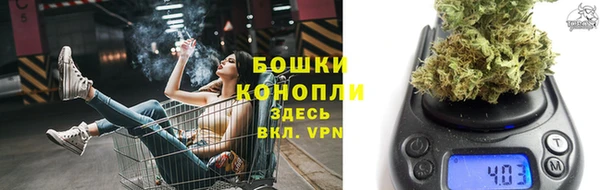 дмт Бронницы