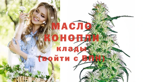 дмт Бронницы