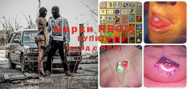 сатива Бугульма