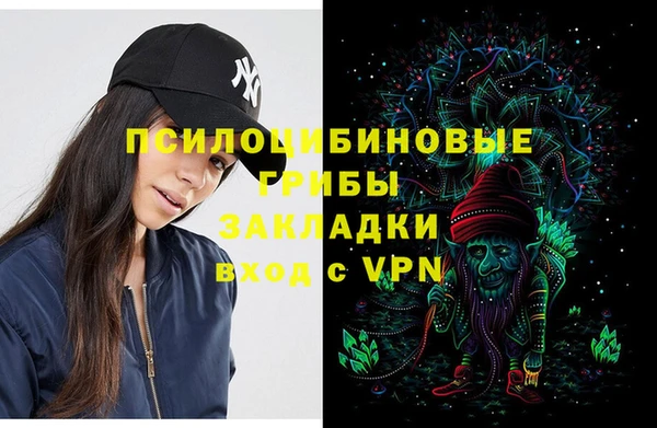 сатива Бугульма