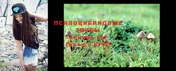 дмт Бронницы